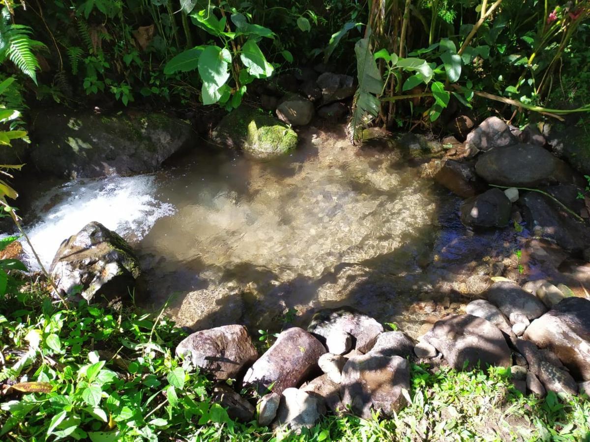 Mindo Eco Chalet Con Rio Y Cascada Kültér fotó