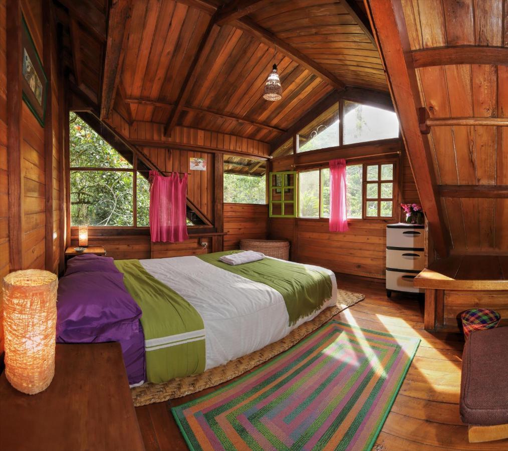 Mindo Eco Chalet Con Rio Y Cascada Kültér fotó
