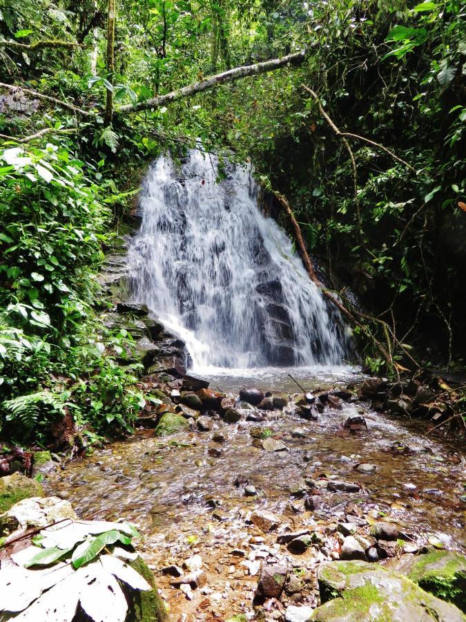 Mindo Eco Chalet Con Rio Y Cascada Kültér fotó