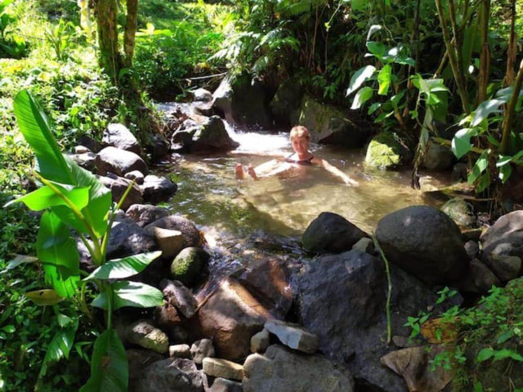 Mindo Eco Chalet Con Rio Y Cascada Kültér fotó