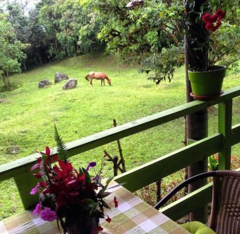 Mindo Eco Chalet Con Rio Y Cascada Kültér fotó