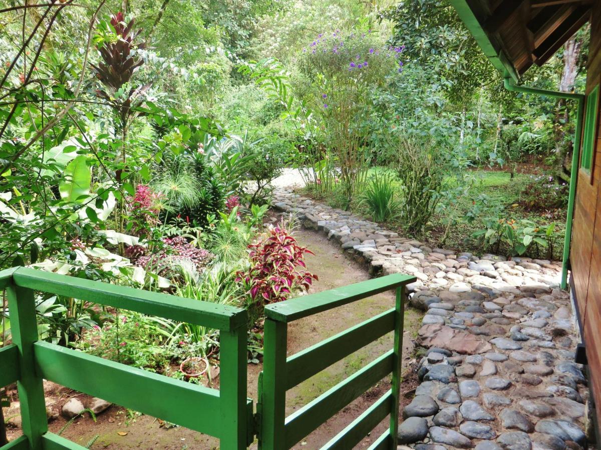 Mindo Eco Chalet Con Rio Y Cascada Kültér fotó