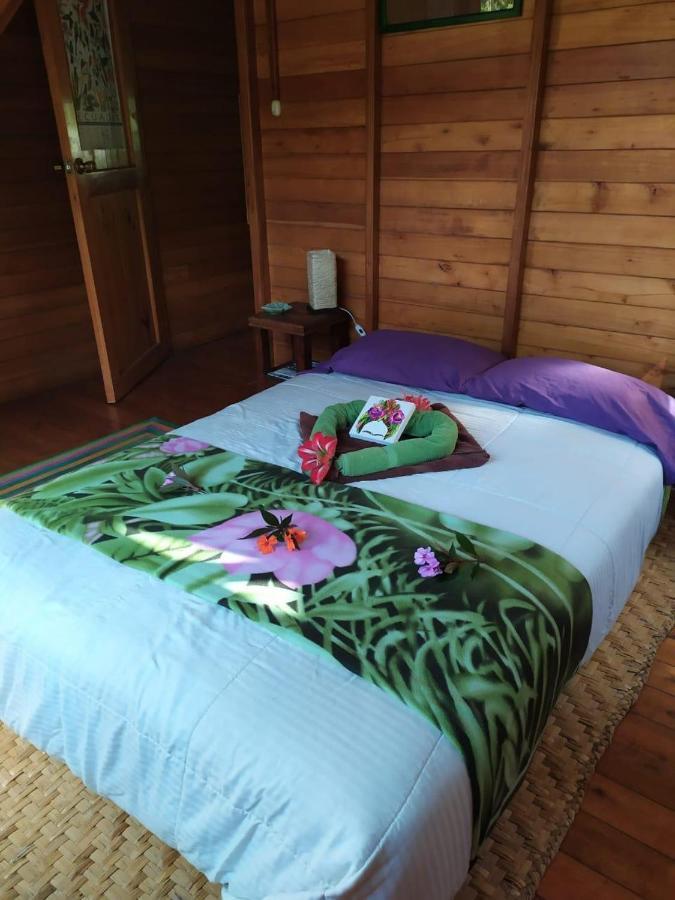 Mindo Eco Chalet Con Rio Y Cascada Kültér fotó