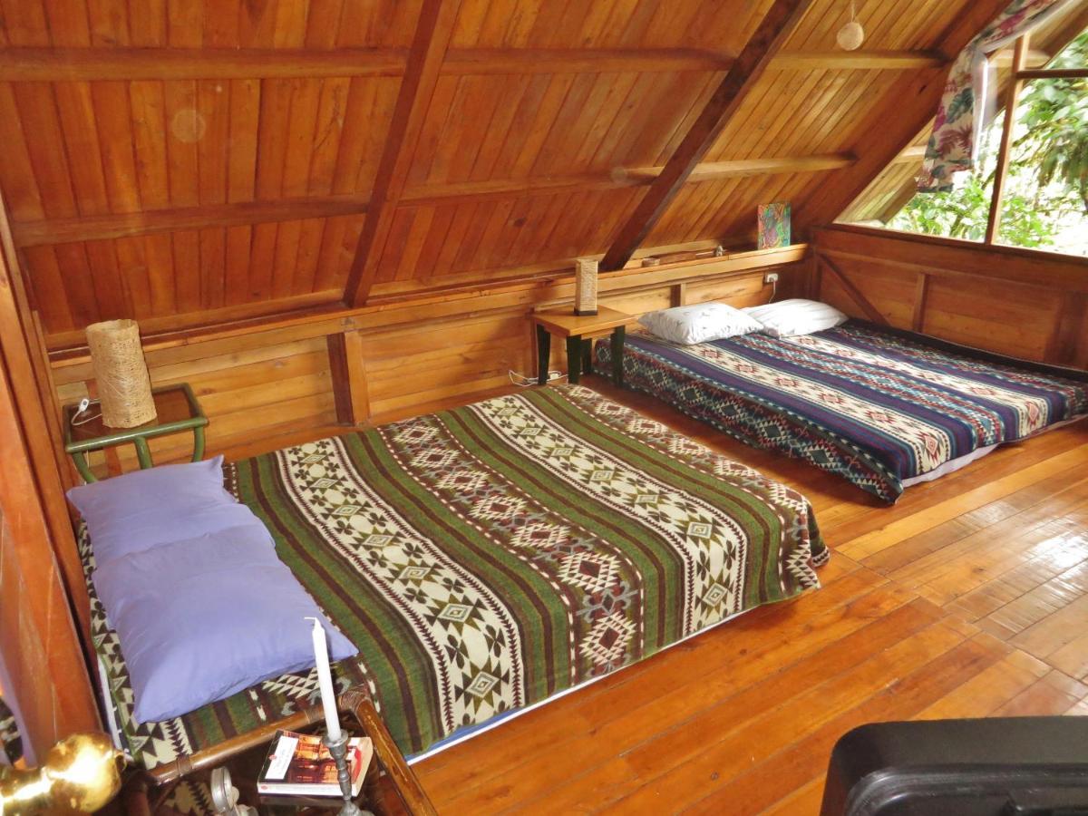 Mindo Eco Chalet Con Rio Y Cascada Kültér fotó