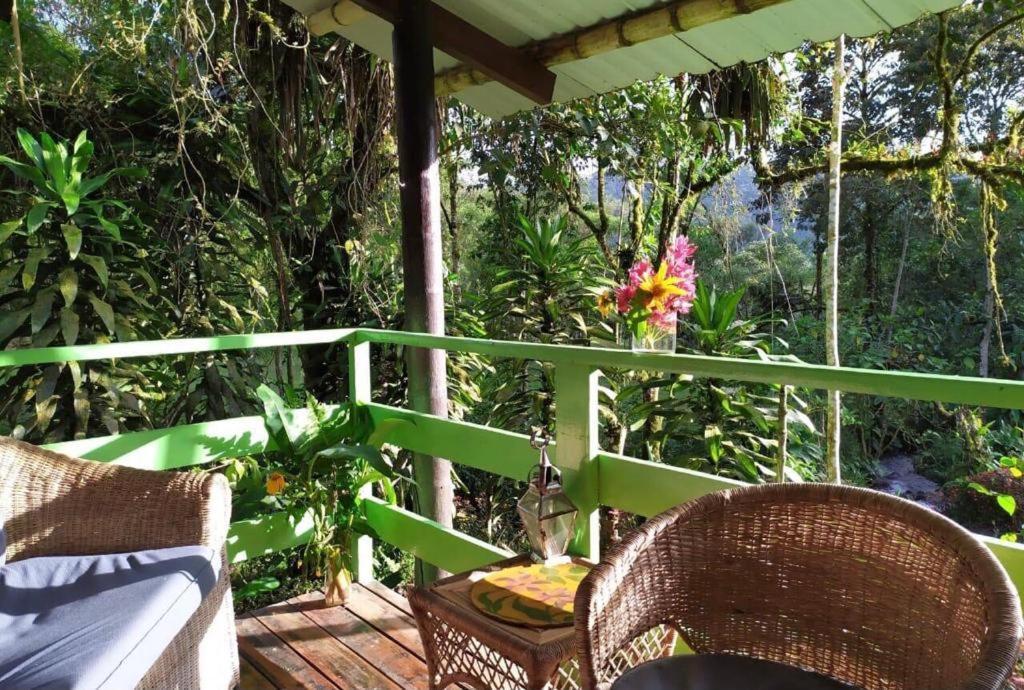 Mindo Eco Chalet Con Rio Y Cascada Kültér fotó