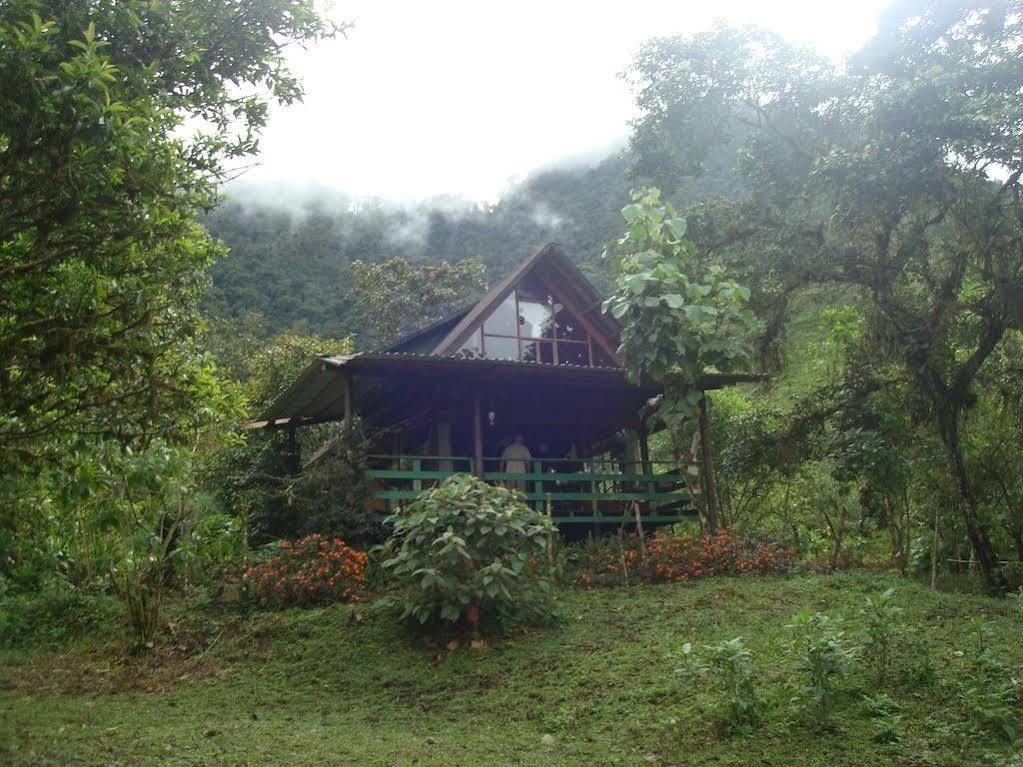 Mindo Eco Chalet Con Rio Y Cascada Kültér fotó