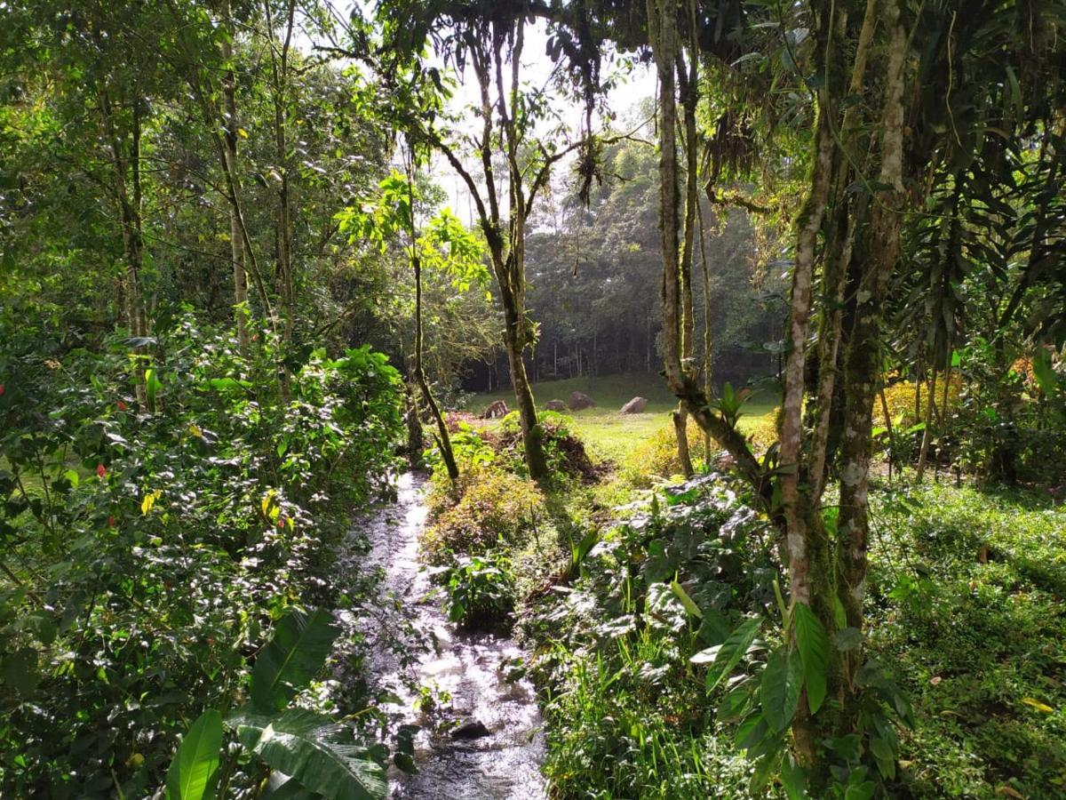 Mindo Eco Chalet Con Rio Y Cascada Kültér fotó